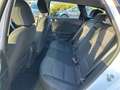 Kia Ceed SW / cee'd SW must 1.4 Bianco - thumbnail 13