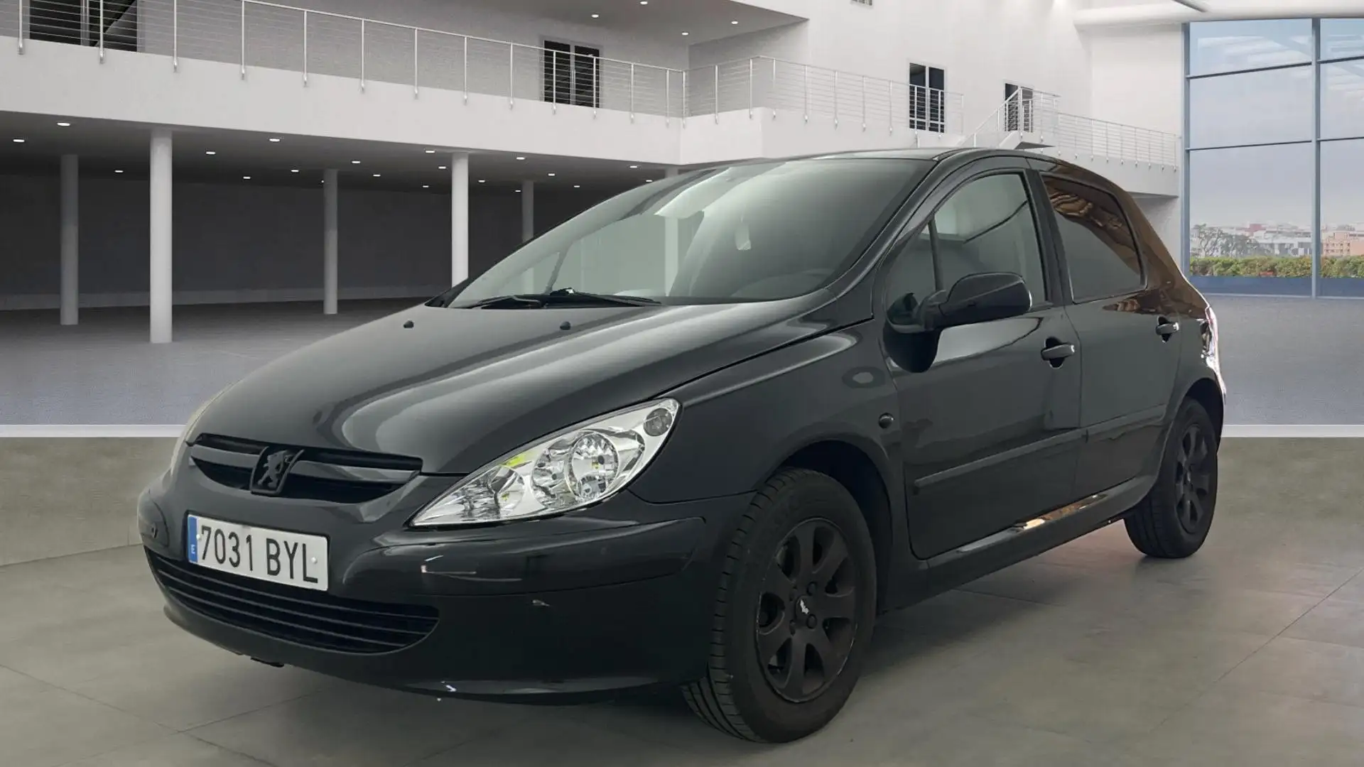 Peugeot 307 307 1.6i XT XT Negro - 1