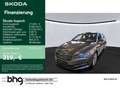 Skoda Superb Combi 2.0 TDI DSG Style Grau - thumbnail 1