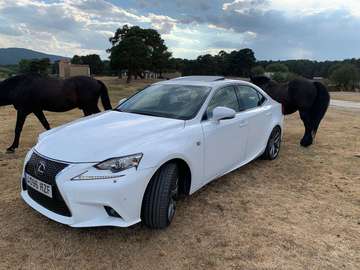 IS 300h F Sport F Sport