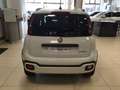 Fiat Panda 1.0 FireFly S&S Hybrid Bianco - thumbnail 8