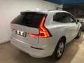 Volvo XC60 2.0 d B4 Momentum Pro con Tetto Apribile Bianco - thumbnail 3