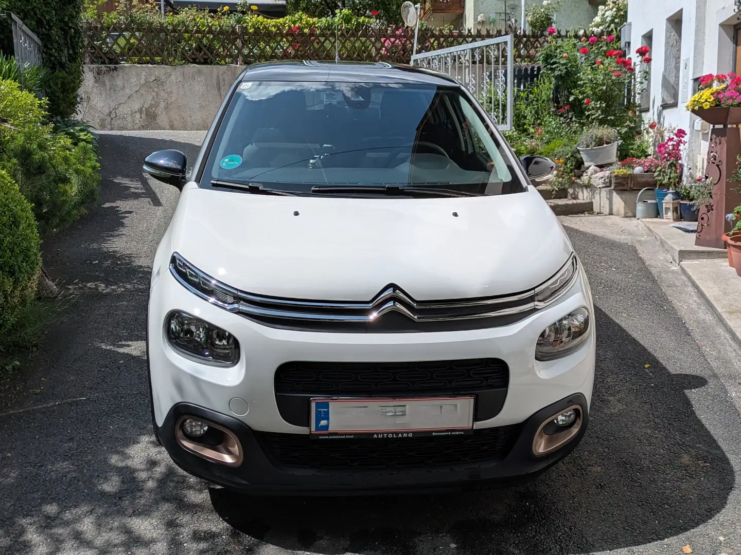 Citroen C3 C3 BlueHDi 100 S&S Origins / 8-fach bereift Weiß - 2