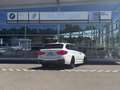 BMW 530 d Tour.M Sport ACC Kamera Driv-Ass-Prof. 20" Weiß - thumbnail 5