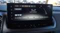 Nissan Qashqai MHEV 158 CV Xtronic Acenta Grijs - thumbnail 24
