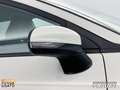 Ford Puma 1.0 ecoboost h titanium s&s 125cv bež - thumbnail 14