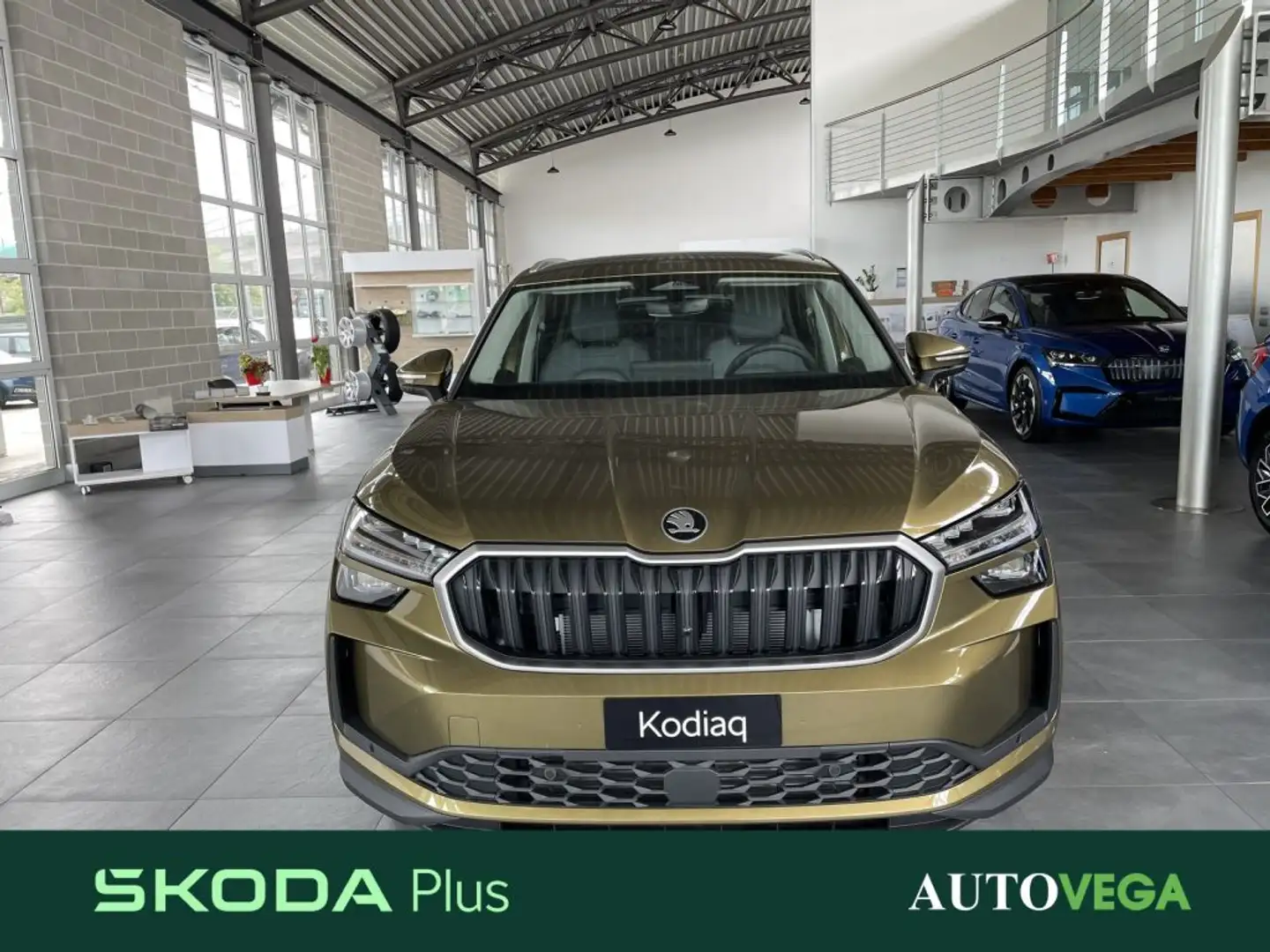 Skoda Kodiaq 1.5 mhev selection 150cv dsg - 2