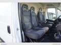 Fiat Ducato 33 2.3 MJT 140CV PM-TN Furgone Euro 6D-Temp Weiß - thumbnail 11