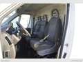 Fiat Ducato 33 2.3 MJT 140CV PM-TN Furgone Euro 6D-Temp Weiß - thumbnail 10