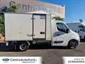 Renault Master RENAULT Master T35 2.3 dCi FRIGO COIBENTATO Білий - thumbnail 6