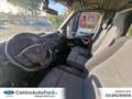 Renault Master RENAULT Master T35 2.3 dCi FRIGO COIBENTATO Wit - thumbnail 9