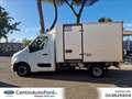 Renault Master RENAULT Master T35 2.3 dCi FRIGO COIBENTATO Bílá - thumbnail 2