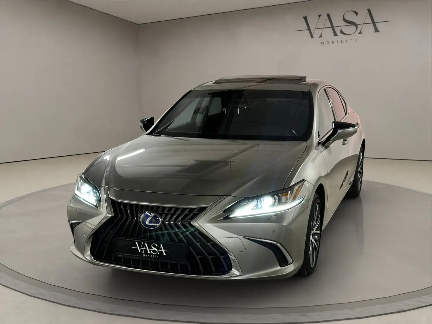 Lexus ES 300 300h Grau - 1