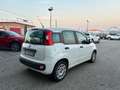 Fiat Panda 1.2 Easy Blanc - thumbnail 6
