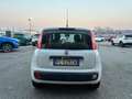 Fiat Panda 1.2 Easy Blanc - thumbnail 5