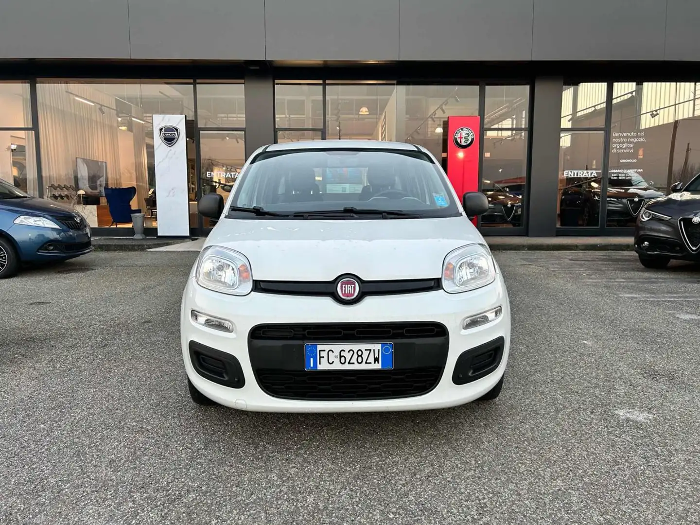 Fiat Panda 1.2 Easy Bianco - 2