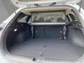 Kia Ceed SW / cee'd SW Sportswagon Ultimate Edition 1.5T-GDI Design-Paket Silber - thumbnail 12