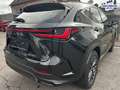 Lexus NX 350h E-Four Business*NAVI*BI-LED*CarPlay* Schwarz - thumbnail 12