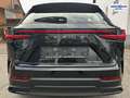 Lexus NX 350h E-Four Business*NAVI*BI-LED*CarPlay* Schwarz - thumbnail 16