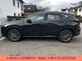 Lexus NX 350h E-Four Business*NAVI*BI-LED*CarPlay* Schwarz - thumbnail 10