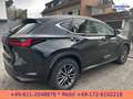 Lexus NX 350h E-Four Business*NAVI*BI-LED*CarPlay* Schwarz - thumbnail 2