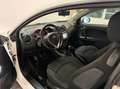 Alfa Romeo MiTo 1.4 Super 78cv, GPL! Bianco - thumbnail 12