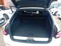 BMW 520 520e Touring Aut. *Panorama, ACC, AHK, Leder,...* Weiß - thumbnail 20