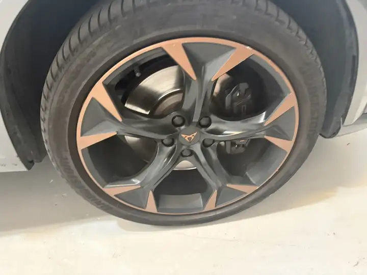 Cupra Formentor 2.0 TSI 4Drive DSG 2022, foto 10