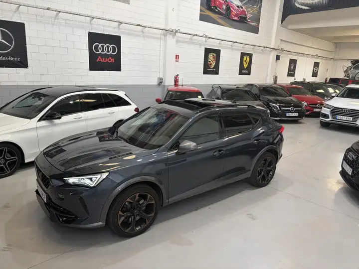 Cupra Formentor 2.0 TSI 4Drive DSG 2022, foto 4
