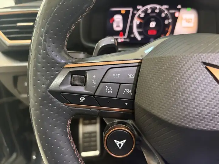Cupra Formentor 2.0 TSI 4Drive DSG 2022, foto 24