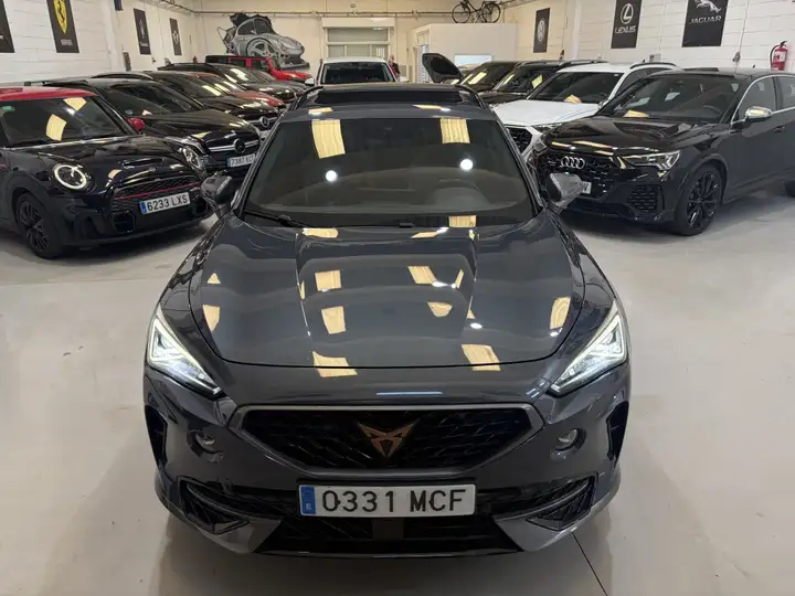 Cupra Formentor 2.0 TSI 4Drive DSG 2022, foto 7