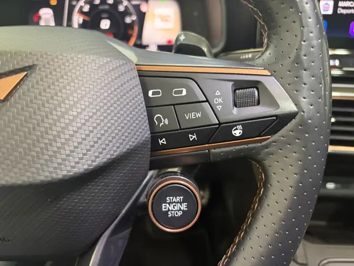 Cupra Formentor 2.0 TSI 4Drive DSG 2022, foto 25