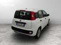 Fiat Panda 1.2 Easy 69cv E6 Bianco - thumbnail 6