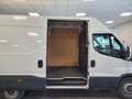 Iveco Daily 35 s14 2.3 136cv PM-TM Blanc - thumbnail 14