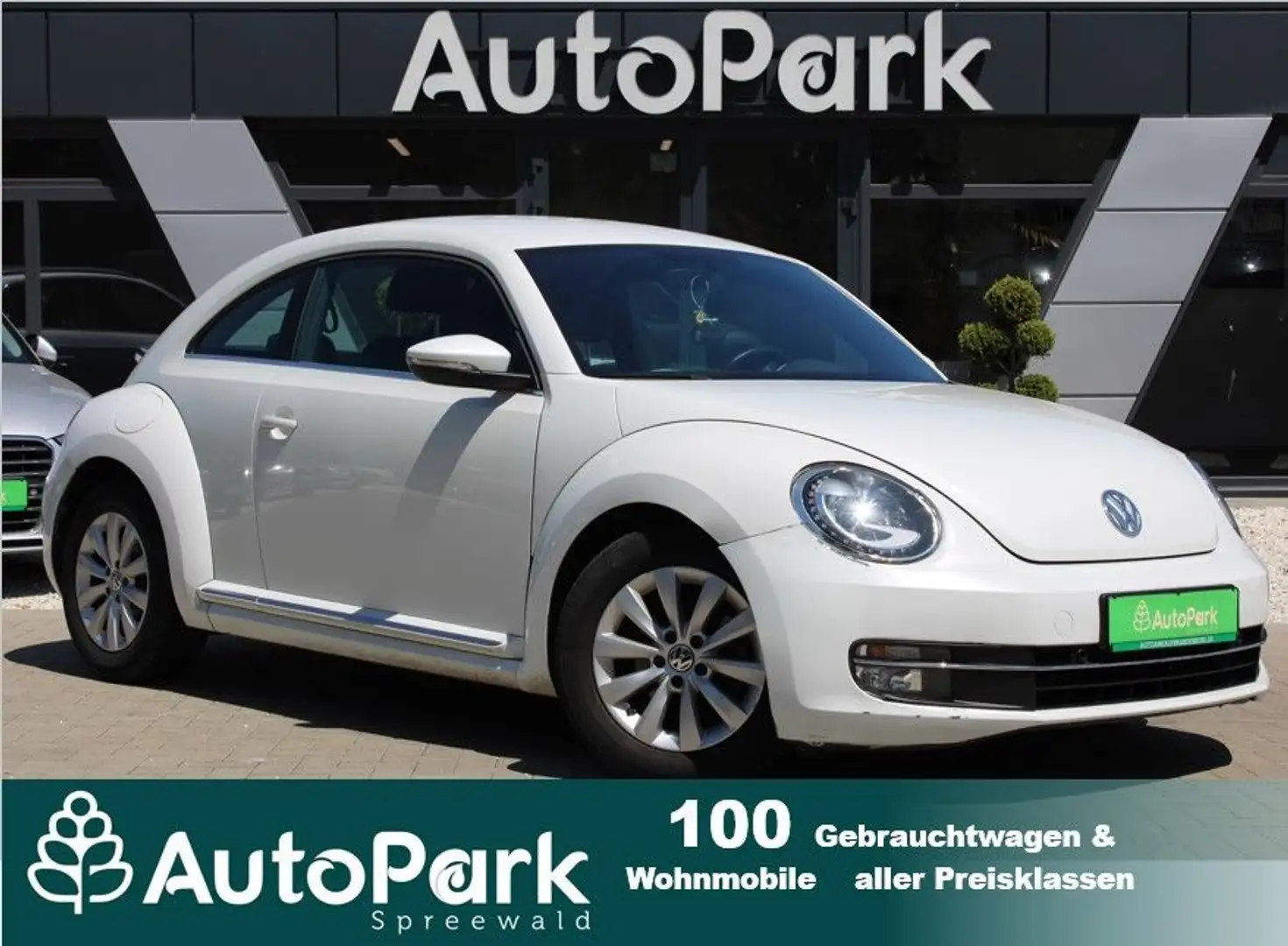 Volkswagen Beetle Lim. Design *Vollledersitz.*SHZ*Navi White - 1