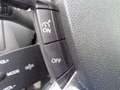 Ford Focus 1.6 Titanium 5 Deurs / Airco / Cruise Control . Grijs - thumbnail 12