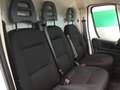Fiat Ducato DUCATO S9 LASTRATO 35Q MH2 140CV 2.2 Multijet 3 E - thumbnail 10