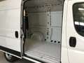 Fiat Ducato DUCATO S9 LASTRATO 35Q MH2 140CV 2.2 Multijet 3 E - thumbnail 6