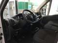 Fiat Ducato DUCATO S9 LASTRATO 35Q MH2 140CV 2.2 Multijet 3 E - thumbnail 12