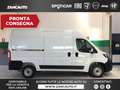 Fiat Ducato DUCATO S9 LASTRATO 35Q MH2 140CV 2.2 Multijet 3 E - thumbnail 1