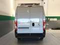 Fiat Ducato DUCATO S9 LASTRATO 35Q MH2 140CV 2.2 Multijet 3 E - thumbnail 3