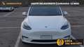 Tesla Model Y Long Range Dual Motor AWD, Gancio Traino, Garanzia Blanc - thumbnail 1
