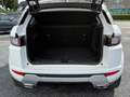 Land Rover Range Rover Evoque Range Rover Evoque TD4 Aut. Leder Navi Camera Eu6 Blanc - thumbnail 14