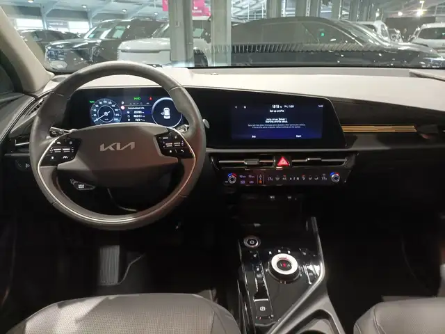 Kia E-Niro view 9