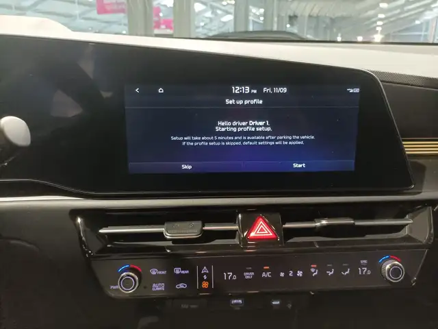 Kia E-Niro view 12