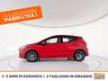 Ford Fiesta 5p 1.0 ecoboost h st-line 125cv Rosso - thumbnail 4