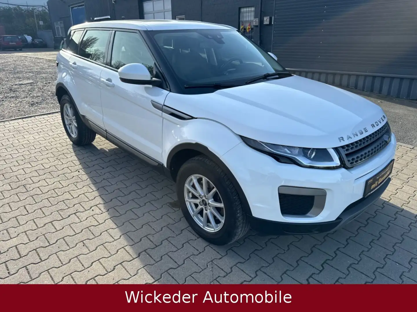 Land Rover Range Rover Evoque Pure/Tüv Neu/Top Pflege Weiß - 1