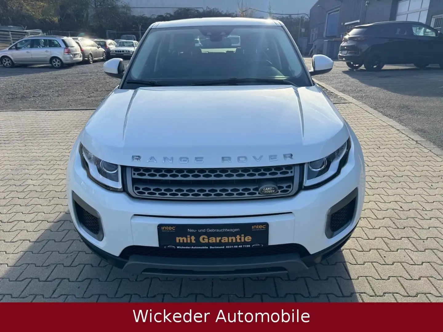 Land Rover Range Rover Evoque Pure/Tüv Neu/Top Pflege Weiß - 2