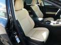 Lexus NX 300 h 300h E-Four Automatik Pano Schwarz - thumbnail 17