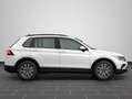 Volkswagen Tiguan Life 2.0 TDI DSG | 5 Jahre Garantie | 17" Weiß - thumbnail 9